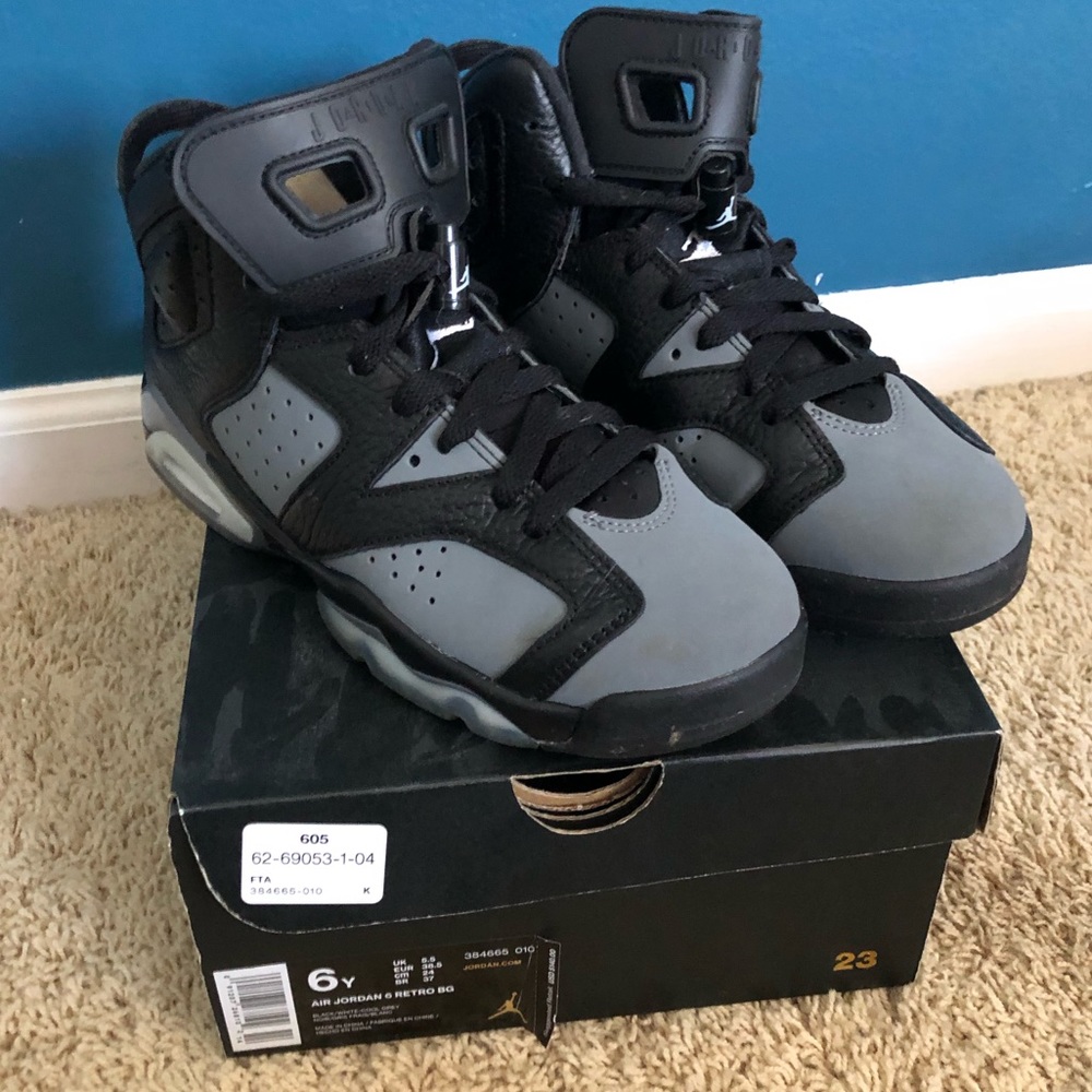 Jordan Cool Gray 6s